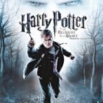 Harry Potter and the Deathly Hallows: Part I | Wii